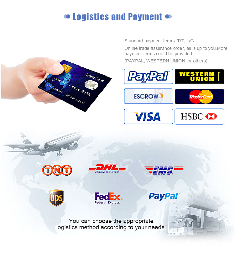 Wholesale Custom Printed Brand Logo Design Promotion Luxury Clothing Retail Gift Shoppingjewellery Paper Bag With Ribbon Handle (13)