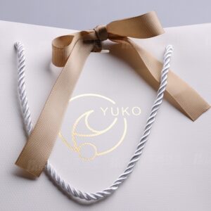 Wholesale Custom Printed Brand Logo Design Promotion Luxury Clothing Retail Gift Shoppingjewellery Paper Bag With Ribbon Handle (3)